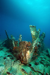 The Barge at Gobal Isl. Red sea Egypt. by Dray Van Beeck 
